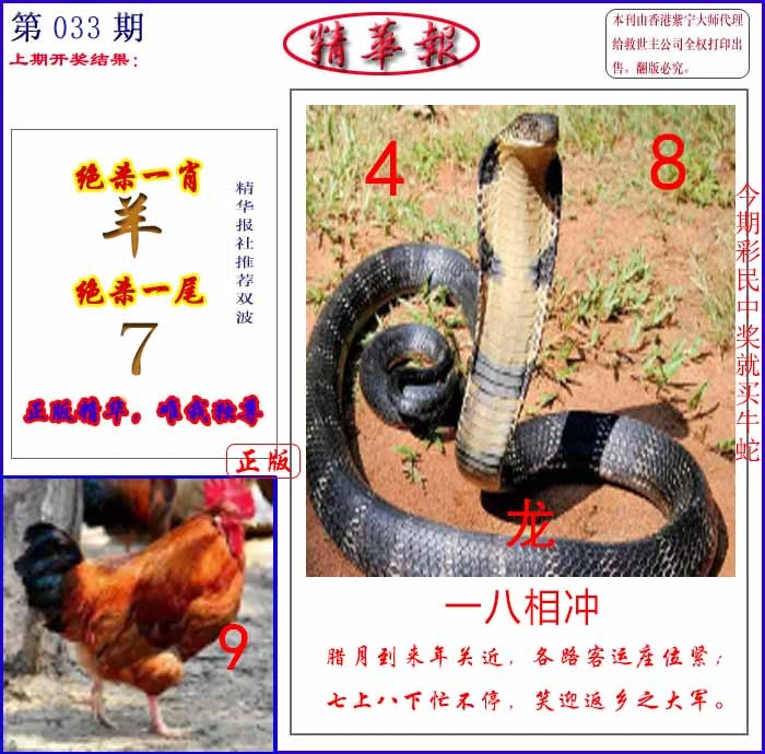 033期新精华报报[图]