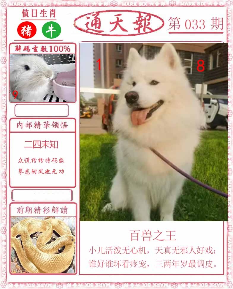 033期正版通天报[图]